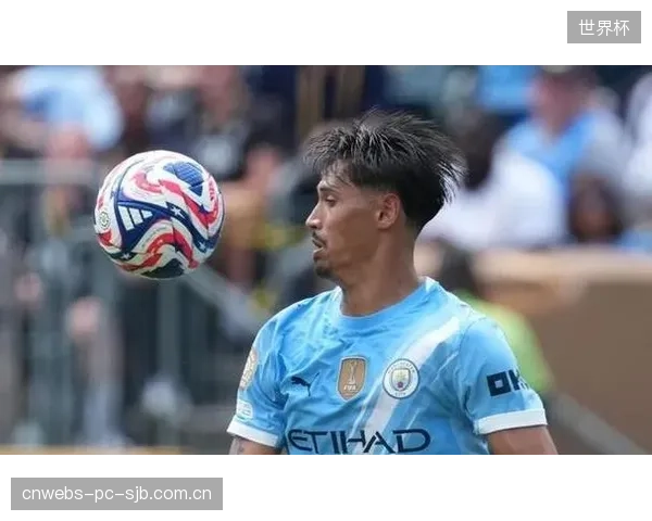 拜仁夏窗将优先引进左后卫与凯恩的替补，曼城后卫格瓦迪奥尔进入视野。